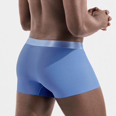 【CW】 Seamless Trunks Mens Silk Briefs Breathable Wide Waistand Shorts Elastic Underpants