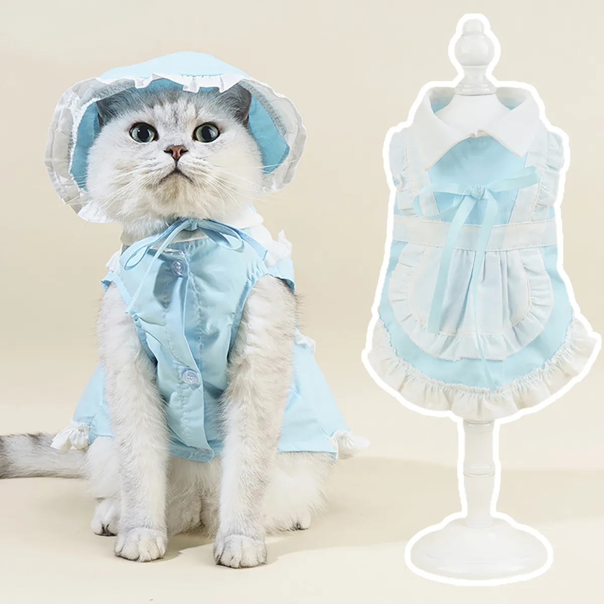 Top 10 mẫu quần áo cho mèo đẹp và dễ thương nhất 2021