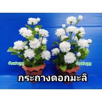 ⚡สินค้ามาใหม่⚡ ดอกมะลิ กระถางดอกมะลิ มะลิไหว้ ปตกแต่งบ้าน  วันแม่ ขาย 1 กระถาง ดอกมะลิบาน 13 ดอก ดอกมะลิตูม 7 ดอก  WPD6.4295❗❗สุดปัง❗❗