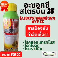 อะซอกซีสโตรบิน 25% ตราสิงห์มังกร (สารเดียวกับอมิสตา) ขนาด 500 ซีซี เชื้อรา โรคแอนแทรกโนส จัดการโรคพืชได้กว้างขวาง