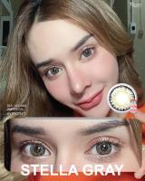 คอนแทคเลนส์ Roze Hydrogel รุ่น Stella Gray (สีเทา)