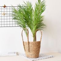 Nordic Handmade Straw Storage Basket Floor Indoor Flower Pot Planter Home Living Room Decoration