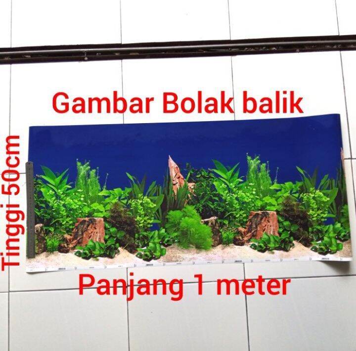 145 Background Aquarium Keren free Download My