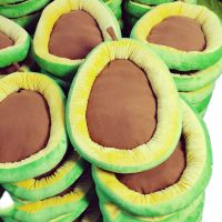 Avocado Design Pet Dog Bed Soft Washable Pet Mat Small Pet Animal Small Dog Bed for Dogs Cats