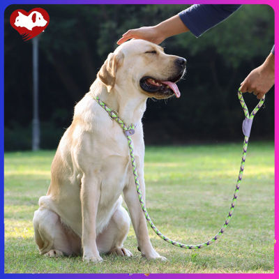 เชือกถัดจูงสุนัขสะท้อนแสงสำหรับสุนัขขนาดกลางและขนาดใหญ่เชือกล่ามคอสำหรับหัดเดิน Pet ปรับได้150ซม.