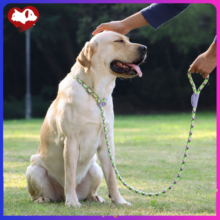 เชือกถัดจูงสุนัขสะท้อนแสงสำหรับสุนัขขนาดกลางและขนาดใหญ่เชือกล่ามคอสำหรับหัดเดิน-pet-ปรับได้150ซม