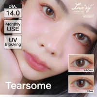 ?มีค่าสายตา? Luxzylens Tearsome Brown Gray ลัคซี่เลนซ์ แถมตลับ สายตาปกติ และ ค่าสายตาสั้น กําลังของเลนส์ (0.5-7.00)  50 75 100 125 150 175 200 225 250 275 300 325 350 375 400 450 50