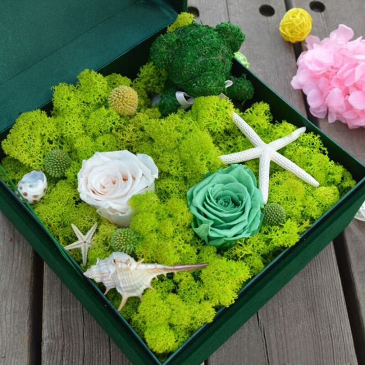 20-40g-simulation-plants-eternal-life-moss-gardening-home-decor-wall-diy-flower-material-mini-micro-landscape-accessories-spine-supporters