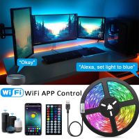 RGB Smart LED Light Strip WIFI/Voice/Bluetooth/APP/Remote Control SMD5050 30leds/m USB DC5V Bedroom Game Room Ambient Decor Lamp Night Lights