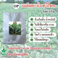 เมล็ดพันธุ์กวางตุ้งใบ ไพลิน นำเข้าจากประเทศนิวซีแลนด์ ตรา ใบไม้  500 กรัม 1 ถุง จาก ไดนามิคพันธุ์พืช Leaf Pakchoy seeds (Pailin) 500 grams by Dynamic Seeds