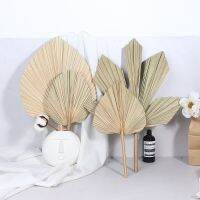 【cw】 Dry Leaves Dried Window Reception Wall Hanging Decoration Wedding Arch Arrangement