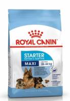 Sale Royal Canin MAXI STARTER MOTHER &amp; BABY DOG 4kg. (01/09/23)- อาหารเม็ดสำหรับ แม่และลูกสุนัขพันธุ์ใหญ่ ขนาด 4 กิโลกรัม