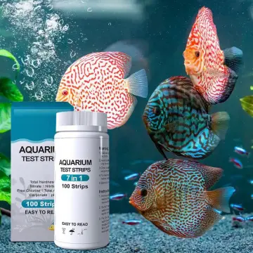 Best Aquarium Water Test Kits, Aquarium Water Test Kit