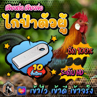 [ใหม่] เสียงไก่ป่าตัวผู้​ ไว้ต่อไก่​ล่อไก่ {{ยาวสะใจ 10 ชั่วโมง}} รูปแบบแฟลชไดร์ฟ เสียงชัด ใส ไม่มีโฆษณาแทรก พร้อมส่ง! มีเก็บเงินปลายทาง!!!