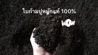 +โปรโมชั่นแรง+ [] ใบก้ามปูหมักแท้ 100% ขนาด10kg ราคาถูก ปุ๋ย ใบก้ามปูหมัก ดินต้นไม้ ดินบอนสี ดินปลูกแคสตัส ดินปลูกผัก ไม้ประดับ