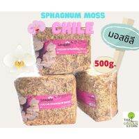 สแฟกนั่มมอส ชิลี 500 g. (Chilean Sphagnum Moss)