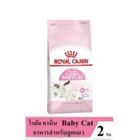 ส่งฟรีทุกรายการ Royal Canin Baby Cat 2 Kg. โรยัลคานิน อาหารสำหรับลูกแมวอายุ1-4เดือน และแม่แมวตั้งท้อง ขนาด 2 กิโลกรัม