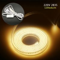 {ItalyNest shop}GBKOF 220V แถบไฟ LED SMD 2835ความปลอดภัยสูงความสว่างสูง120 Les/ M ยืดหยุ่นแถบไฟ LED หลอดแอลอีดีกันน้ำกลางแจ้งไฟ LED แถบไฟ1M 5M 10M