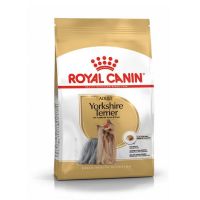 พลาดไม่ได้ โปรโมชั่นส่งฟรี 1.5kg Royal Canin Yorkshire Terrier Adult