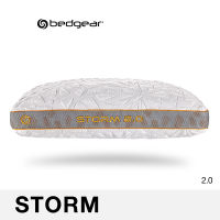 Bedgear หมอนหนุน รุ่น Storm 2.0 ส่งฟรี