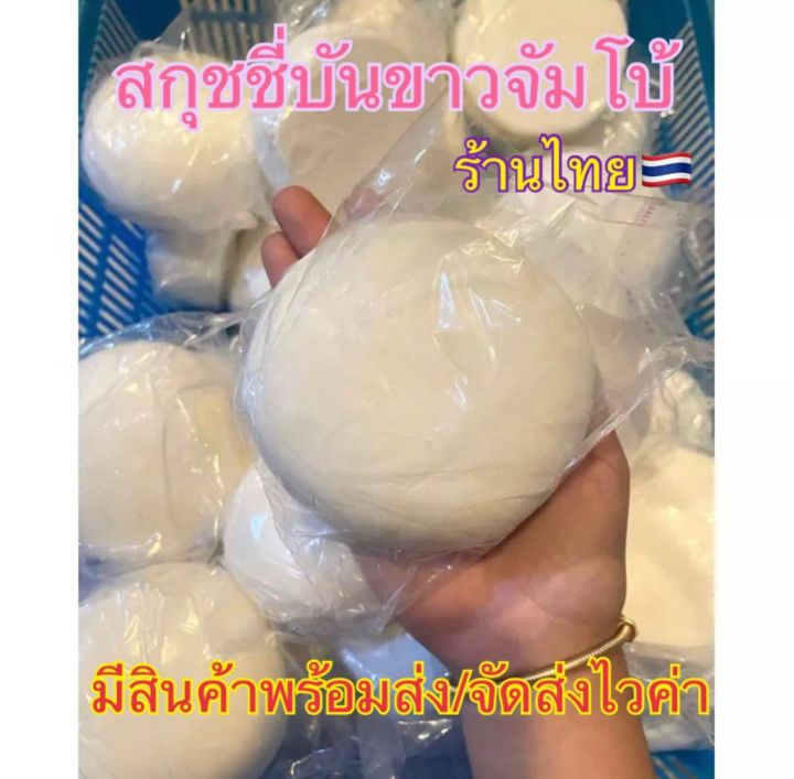 สกุชชี่บันขาวจัมโบ้-ร้านไทย