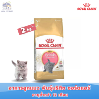 [ส่งฟรี] Royal Canin British Shorthair Kitten 2kg อาหารเม็ดลูกแมว พันธุ์บริติช ชอร์ตแฮร์ อายุ4-12เดือน (ขนาด2kg)