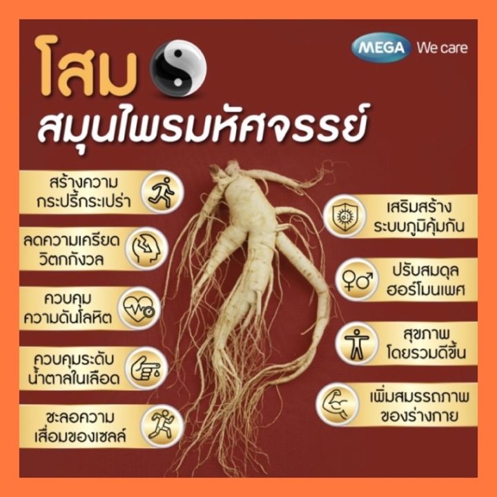 mega-ginsomin-กล่อง-160-แคปซูล-โสมเกาหลีสกัดเข้มข้น-สร้างความกระปรี้กระเปร่า