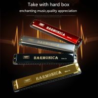 Professional 24 Hole Harmonica Mouth Metal Organ for Beginners Musical Instruments Harmonica Harp Harmonium Blues Clues