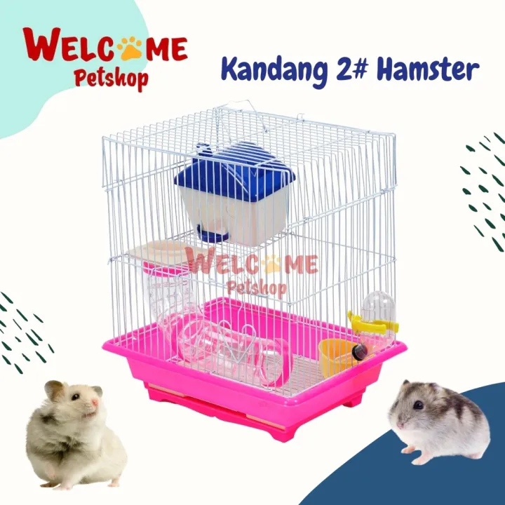 720px x 720px - Kandang Hamster 2# - Tipe 1 / Rumah Hamster / Kandang Hamster | Lazada  Indonesia