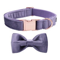 Unique Style Paws Purple Velvet Soft Collar with Bow tie and Leash Gift for Dogs and Cats