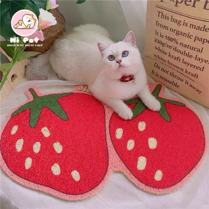 เสื่อครอกแมวสัตว์เลี้ยง-เสื่อกล่องครอกแมว-เสื่อรูปผลไม้การ์ตูน-fruit-mat-fm0070