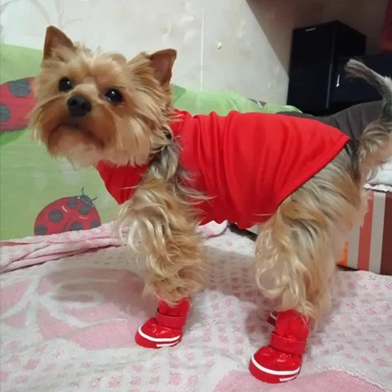 Yorkie boots clearance for winter