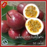 50 เมล็ด เสาวรสสีม่วง Passiflora edulis เมล็ดเสาวรสสีม่วง เสาวรสม่วง Passion Fruit แพสชั่นฟรุต เสาวรส กะทกรกฝรั่ง เสาวรสม่วง เสาวรสพันธุ์สีม่วง