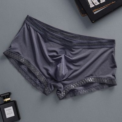 【CW】 DIHOPE 2022 Men  39;s Silk Pants Breathable Panties Male Large Ultra Thin Shorts Men