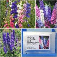 เมล็ดพันธุ์ ดอกเดลฟินเนียม คละสี Imperial Rocket Larkspur Flower 150 เมล็ด คุณภาพดี ราคาถูก ของแท้