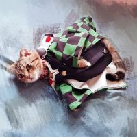 ?Quick Shipping Clothes for Pets Demon Slayer Kimetsu No Yaiba Cat Costume Kamado Tanjirou Nezuko Dog Pet Supplies