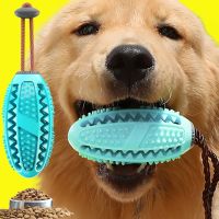 Popular Rubber Kong Dog Toy for French Bulldog Dog Teeth Brush Dog Chew Ball Interactive Pet Toys Labrador Teeth Cleaning Tools