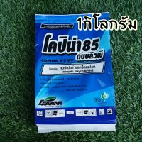 โคปิน่า 85 wp (ฟ้า) คอปเปอร์ ออกซีคลอไรค์ 1kg.  ป้องกันกำจัดโรคพืชทั้งที่เกิดจากเชื้อราและเชื้อแบคทีเรีย  ราน้ำค้าง แครงเกอร์มะนาว