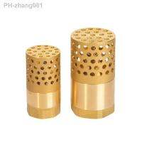 DN25/32/40/50/65/80 1 1-1/4 1-1/2 2 3 BSP Female Brass Check Valve Non-return Strainer Filter For Water Plumbing Pump