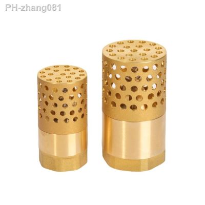 DN25/32/40/50/65/80 1 1-1/4 1-1/2 2 3 BSP Female Brass Check Valve Non-return Strainer Filter For Water Plumbing Pump