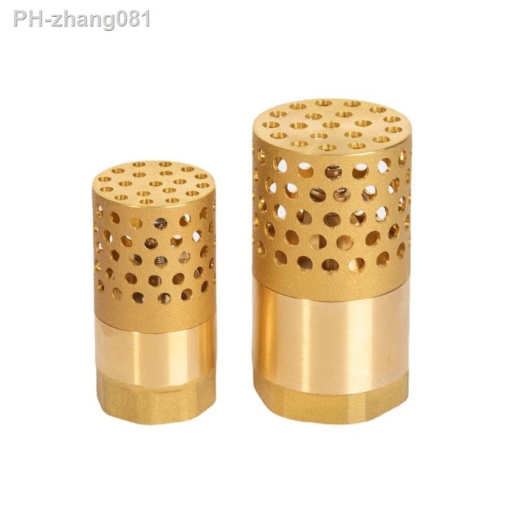 dn25-32-40-50-65-80-1-1-1-4-1-1-2-2-3-bsp-female-brass-check-valve-non-return-strainer-filter-for-water-plumbing-pump