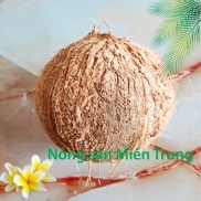 Quả Dừa khô nguyên trái Cơm dày 0,9-1,2 kg Dừa già