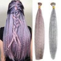 AZIR Colored Strands for Hair Feather Extension 50 Pieces I Tip Synthetic Hairpiece Fake Hair Zebra Line Feather Hair Extensions