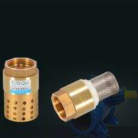 1PCS 1/2 quot; 3/4 quot; 1 quot; 2 quot; BSPP Female Brass Check Valve Non-return With Steel Strainer Filter DN15 DN25 DN40 For Water Plumbing Pump