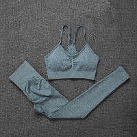 SALSPOR 2PCS Yoga Sets Women Fitness High Impact Bra Push Up Leggings Sports Jogging Workout Breathable Athletics Seamless Suit