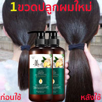 แชมพูขิง zenshow shampoo แชมพูแก้ผมร่วง 500ml แชมพูสมุนไพร แก้ผมร่วง แชมพูขิงของแท้ Ginger แชมพู แชมพูเร่งผมยาว ขิงซึมถึงราก สดชื่นคุมมัน รากผมแข็งแรง ผมไม่เสียอีกต่อไป แชมพูปลูกผม ยาสระผมสำหรับผมเสีย