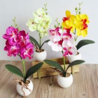 Creative Flowers Fancy Four Butterfly Orchid Meaty Plant Bonsai Flower Arranging Accessories SP99