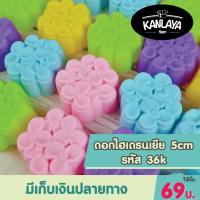 5 cm (รหัส36K) ไฮเดรนเยีย SKU : 8859666899150