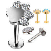 G23 Titanium Blaze Shape Zircon Shape Top Labret Lip Stud PIERC หูกระดูกอ่อน Tragus Helix Piercing Ear Studs เครื่องประดับขายส่ง