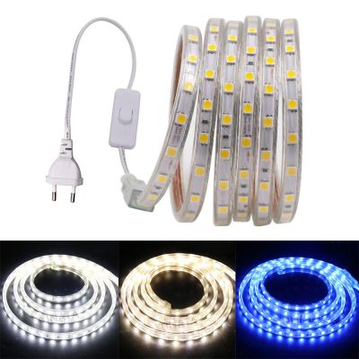 220V 110V LED Strip Light Waterproof 5050 60LED/m Flexible Lamp String with ON/OFF Switch Plug Home Decoration 1m 10m 20m 100m Power Points  Switches